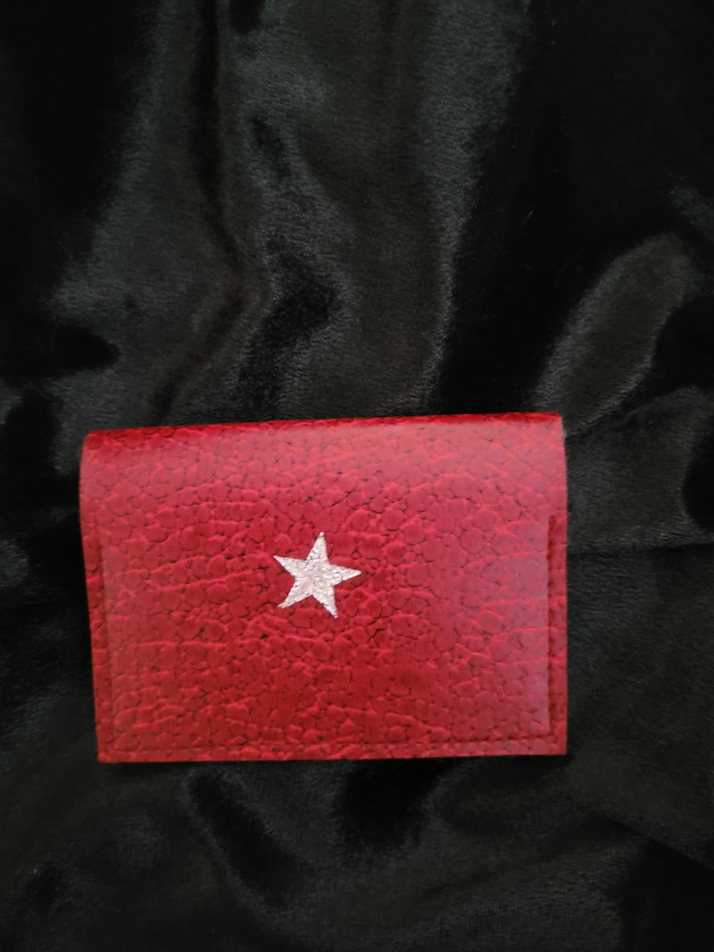 CAR1 Porte Carte
