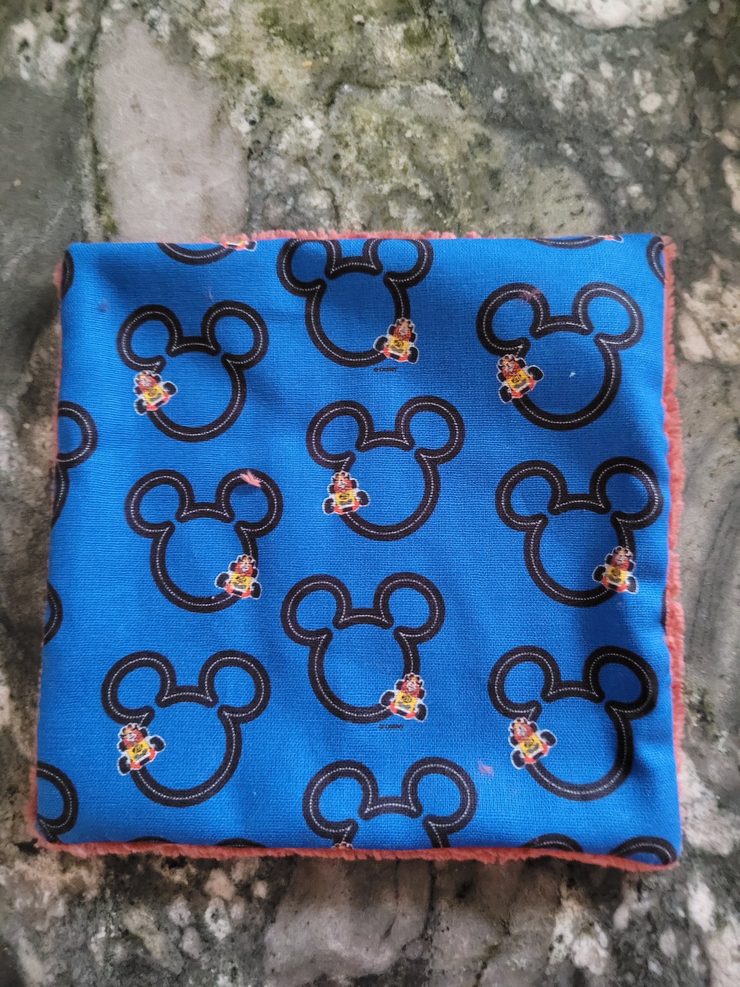 LE29 Lingette lavable mickey