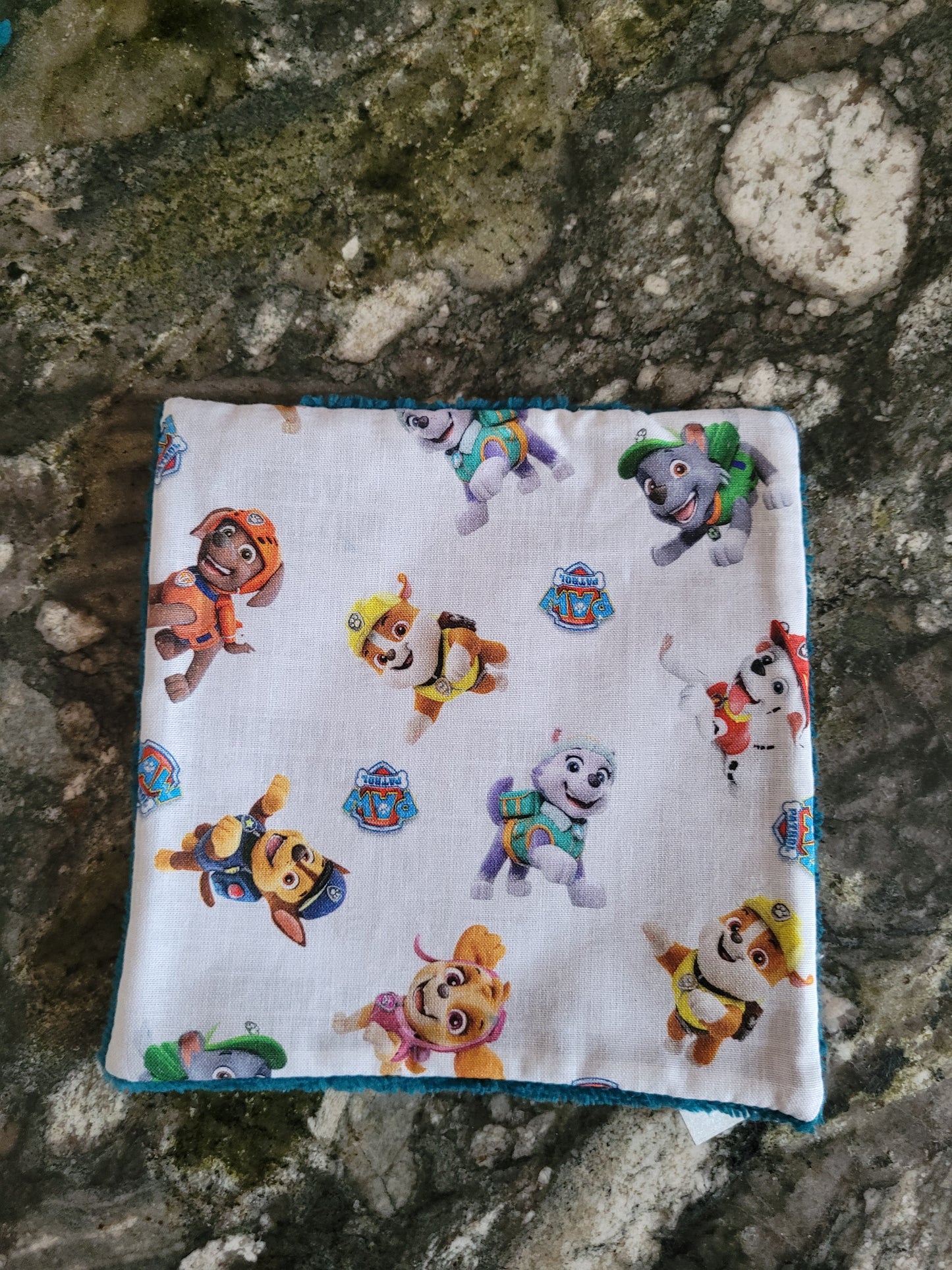 LE21 Lingette lavable pat patrouille